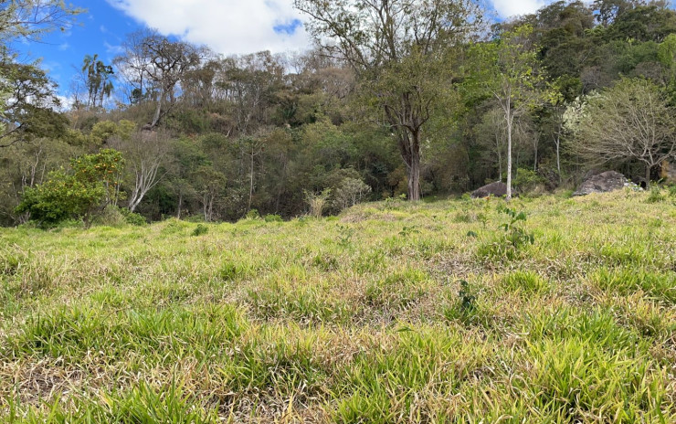 Terreno com riacho no fundo, linda vista panorâmica. | Toledo - MG | código 734