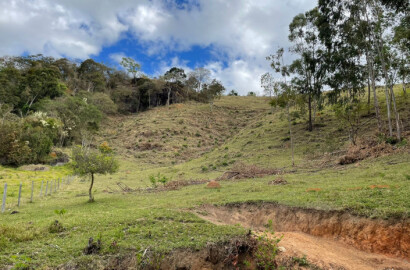 Terreno com riacho no fundo, linda vista panorâmica. | Toledo - MG | código 734