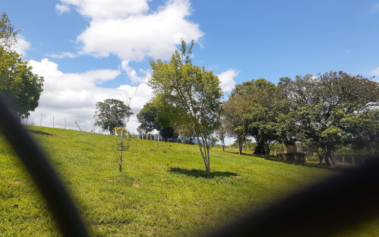 Sitio com vista panorâmica, chegada toda asfaltada | Extrema MG | código 751