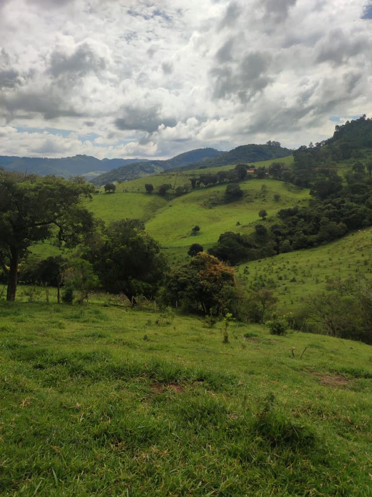 Sítio com: 3 tanques de peixe, vista panorâmica, casa sede | Munhoz - MG | código 779