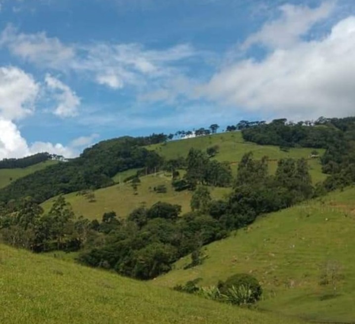 Sítio com: 3 tanques de peixe, vista panorâmica, casa sede | Munhoz - MG | código 779