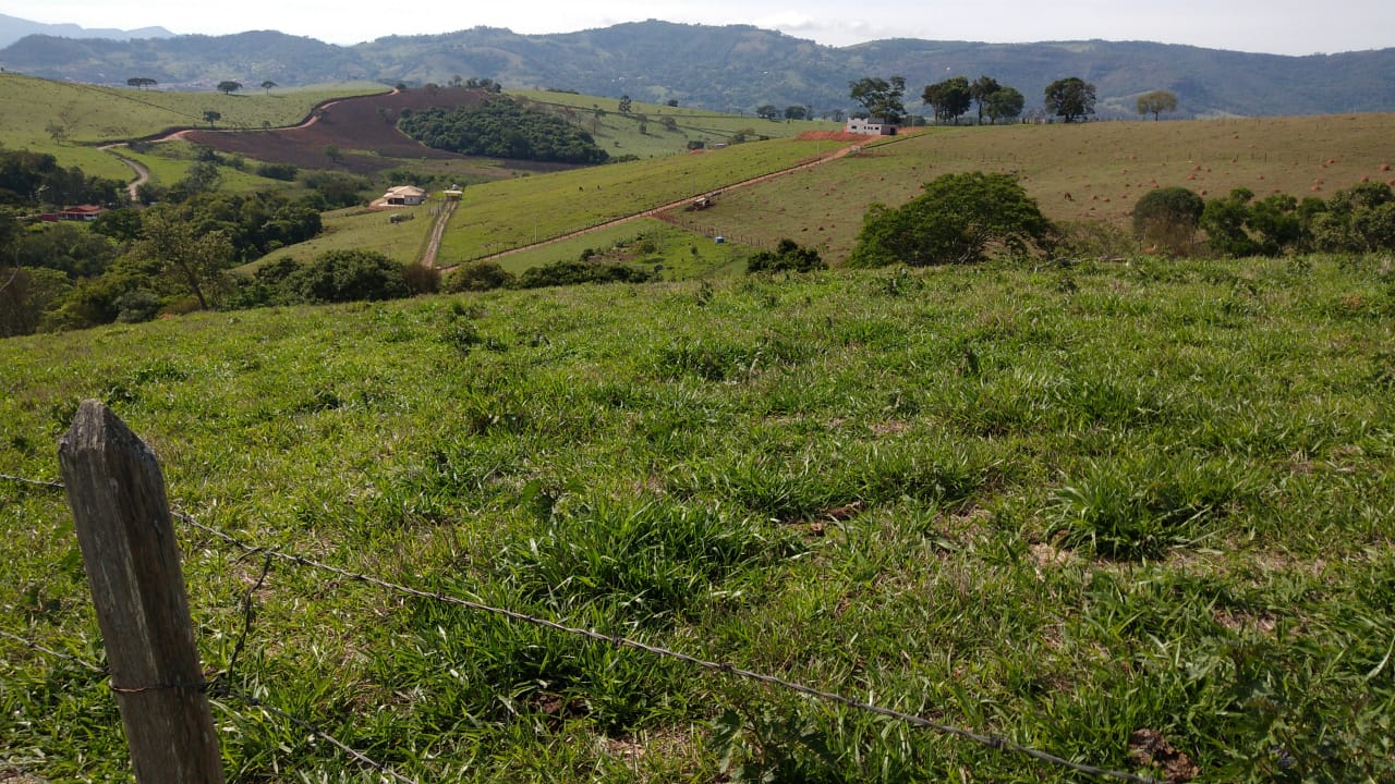 Sítio com: 3 tanques de peixe, vista panorâmica, casa sede | Munhoz - MG | código 779