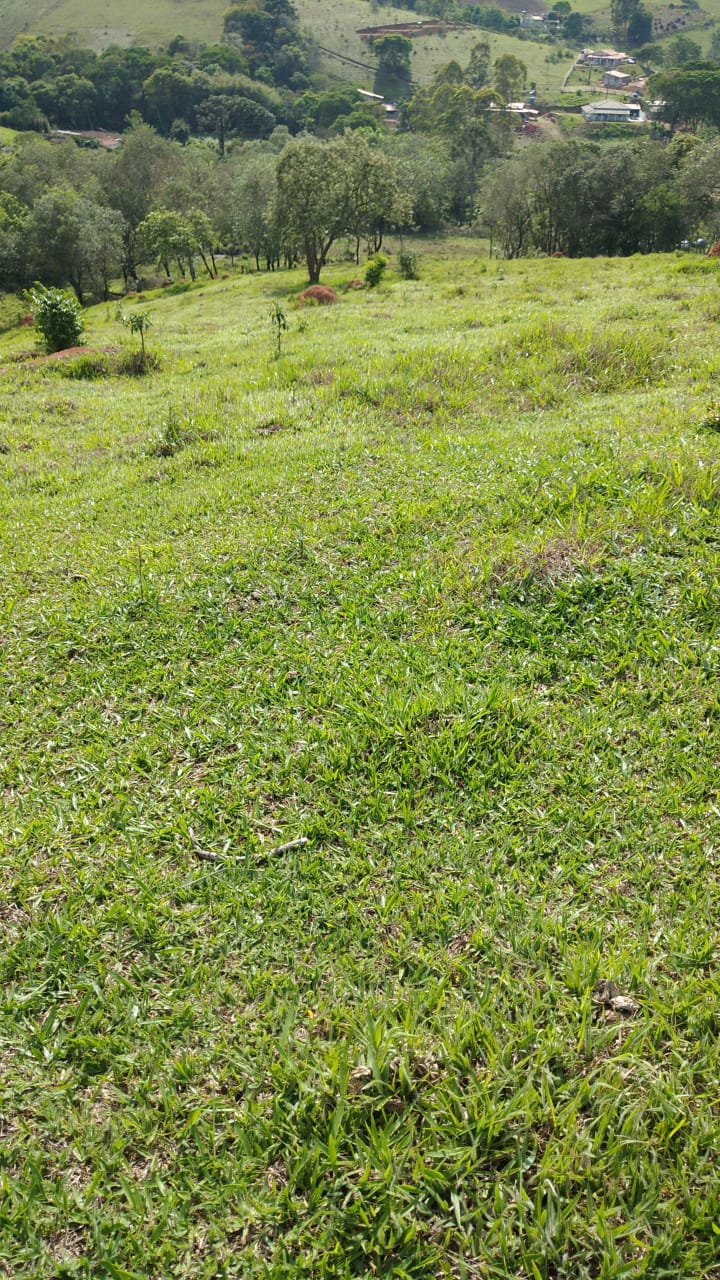 Sítio com: 3 tanques de peixe, vista panorâmica, casa sede | Munhoz - MG | código 779