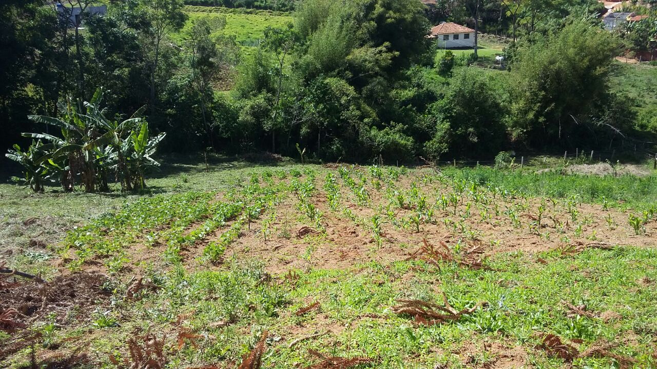 Sítio com platô, mina de água, córrego passando no fundo | Extrema - MG | código 792