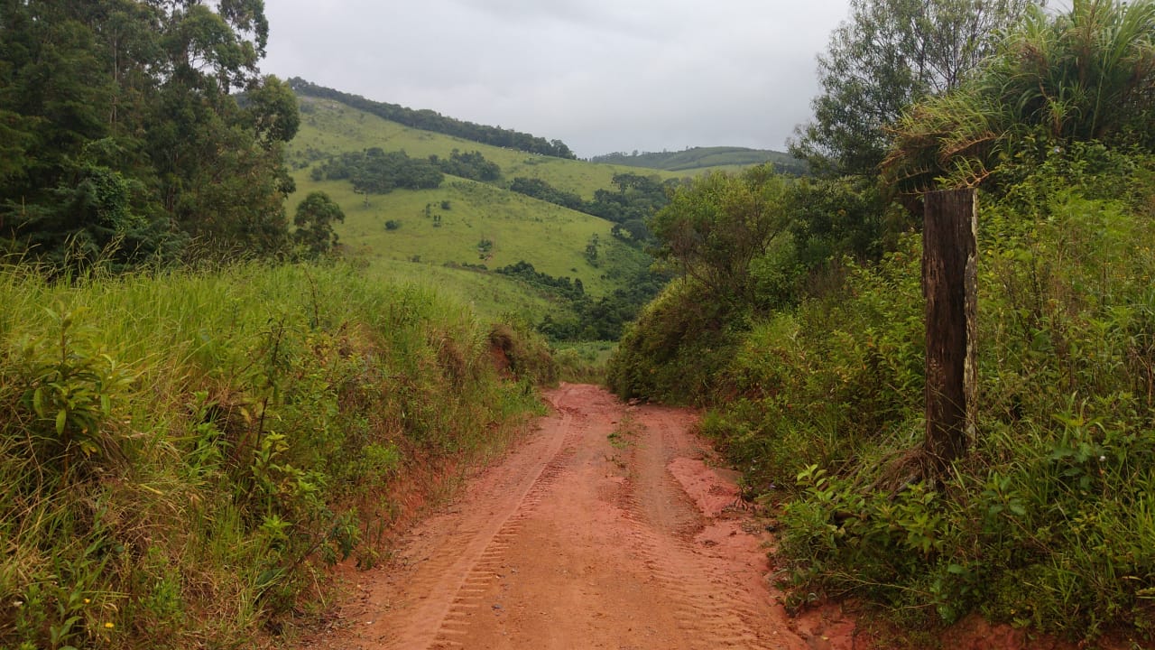 Fazenda riquíssima em água, terreno para plantio ou pecuária | Toledo MG | código 800