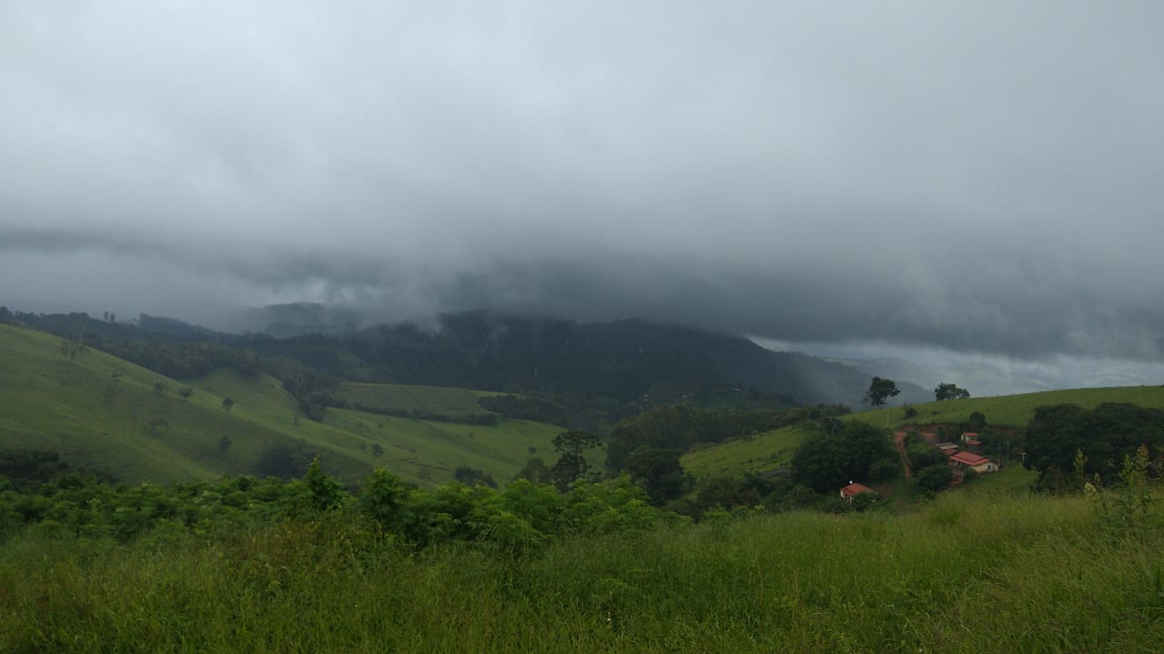 Fazenda riquíssima em água, terreno para plantio ou pecuária | Toledo MG | código 800