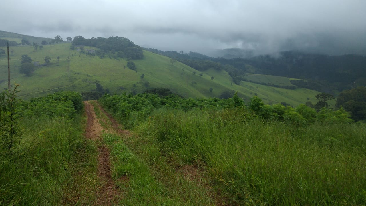 Fazenda riquíssima em água, terreno para plantio ou pecuária | Toledo MG | código 800