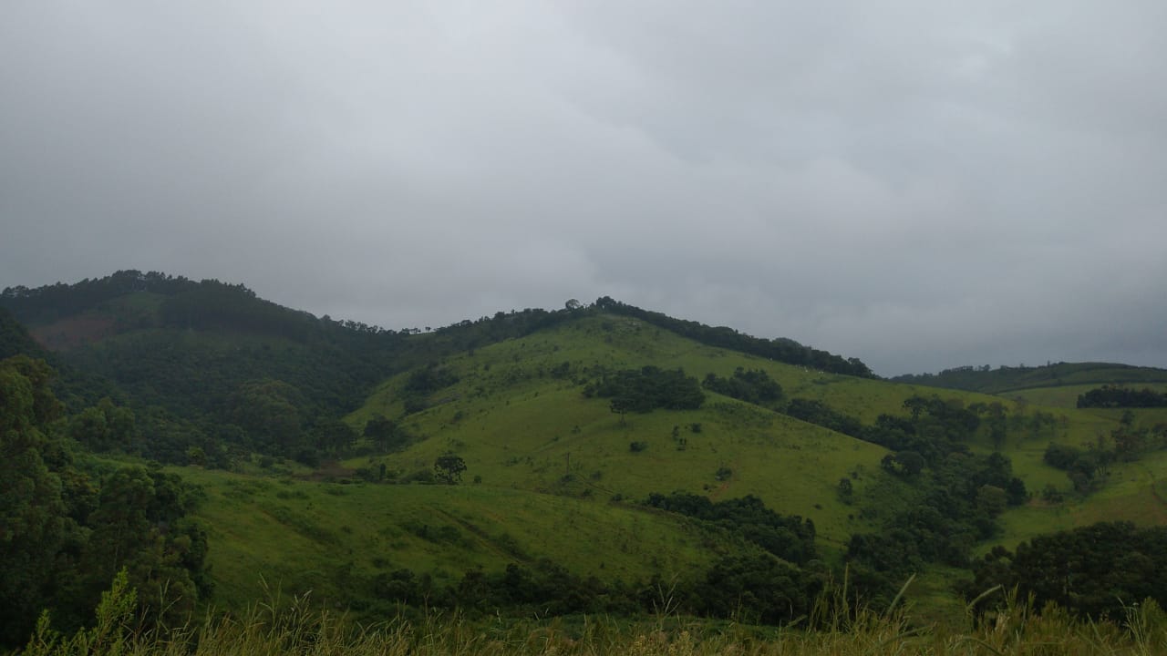 Fazenda riquíssima em água, terreno para plantio ou pecuária | Toledo MG | código 800