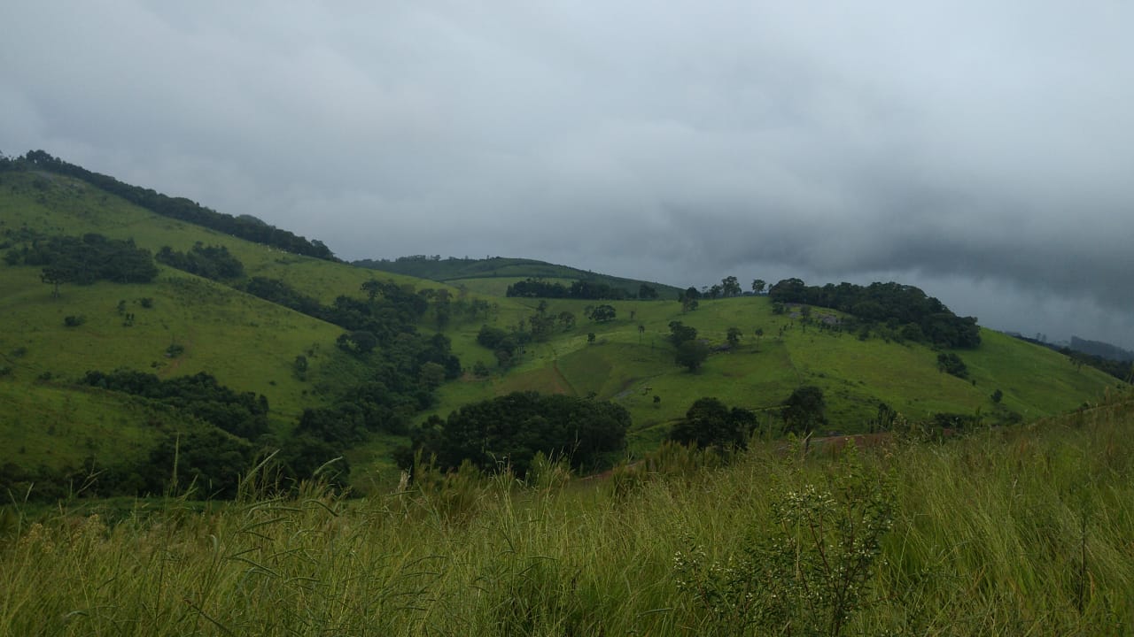 Fazenda riquíssima em água, terreno para plantio ou pecuária | Toledo MG | código 800