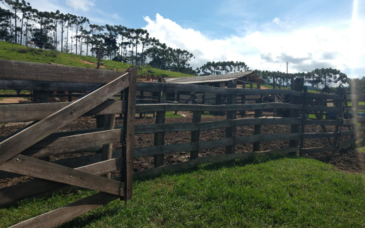 Fazenda com casa sede, casas de caseiro, lagos, cachoeira | Extrema - MG | código 805