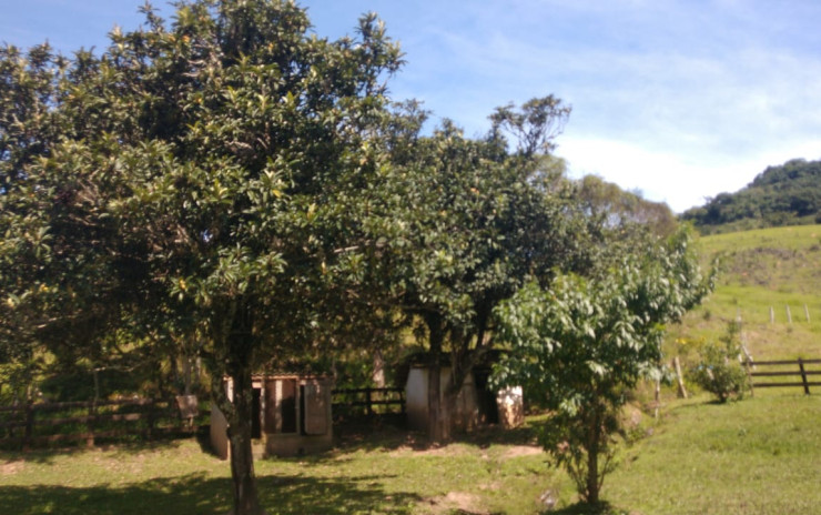 Fazenda com casa sede, casas de caseiro, lagos, cachoeira | Extrema - MG | código 805