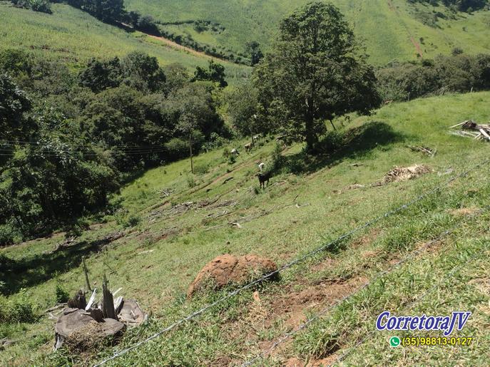 Linda Fazenda com casas. mais uma pousada para renda | Itapeva - MG  | código 957