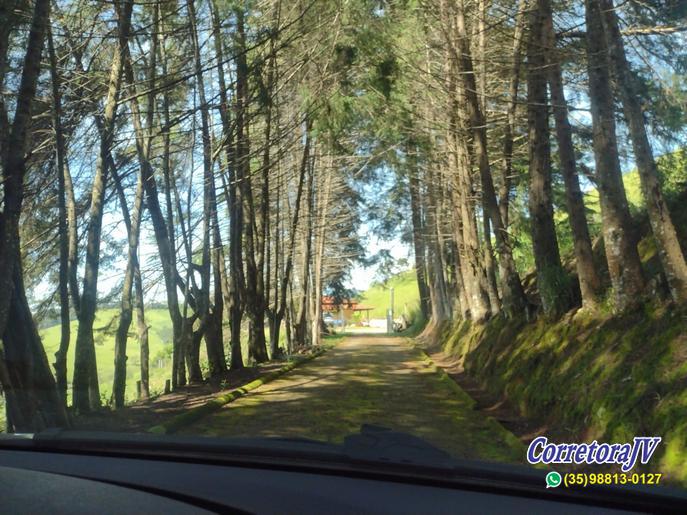 Linda Fazenda com casas. mais uma pousada para renda | Itapeva - MG  | código 957