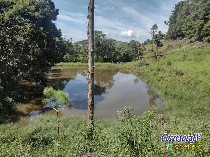 Linda Fazenda com casas. mais uma pousada para renda | Itapeva - MG  | código 957