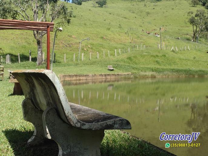 Linda Fazenda com casas. mais uma pousada para renda | Itapeva - MG  | código 957