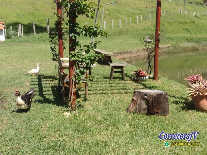 Linda Fazenda com casas. mais uma pousada para renda | Itapeva - MG  | código 957