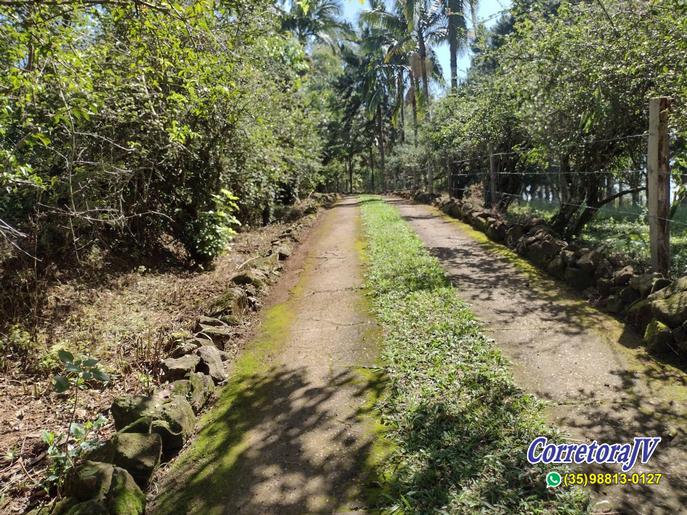 Linda Fazenda com casas. mais uma pousada para renda | Itapeva - MG  | código 957