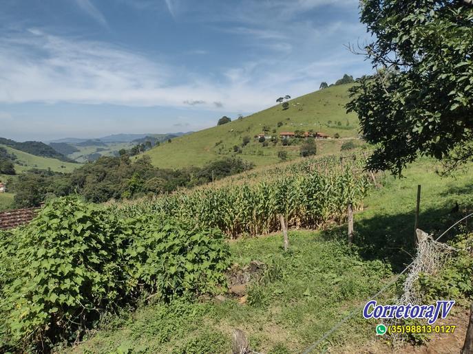 Linda Fazenda com casas. mais uma pousada para renda | Itapeva - MG  | código 957