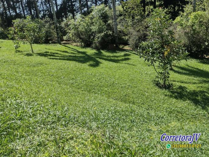 Linda Fazenda com casas. mais uma pousada para renda | Itapeva - MG  | código 957