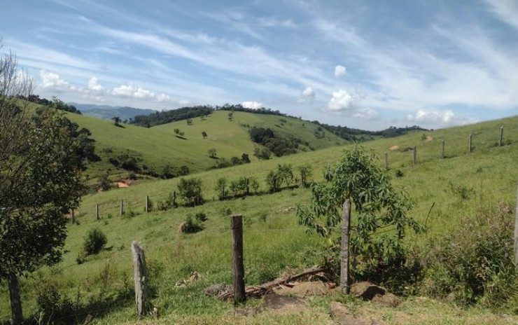 Sítio - excelente terreno para plantio ou criação de gado | Itapeva - MG | código 814