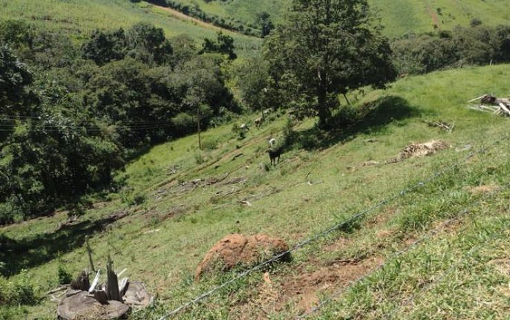 Sítio - excelente terreno para plantio ou criação de gado | Itapeva - MG | código 814