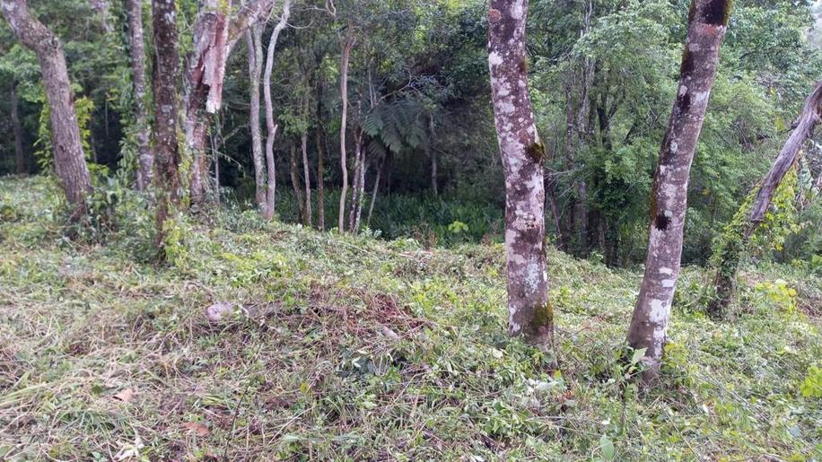 Terreno para chácara com linda vista panorâmica | Extrema - MG | código 816