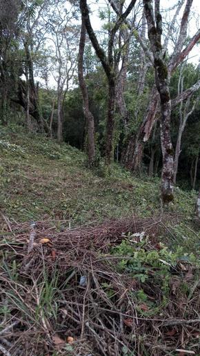 Terreno para chácara com linda vista panorâmica | Extrema - MG | código 816