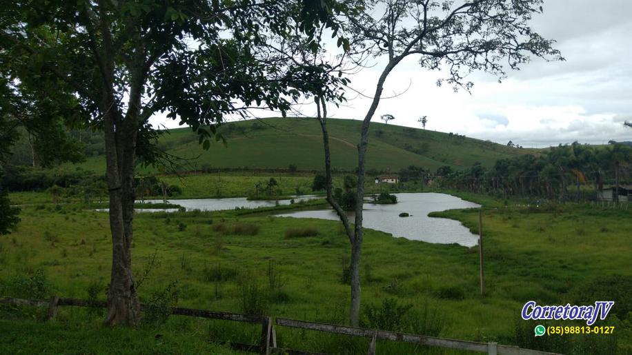 Sitio com piscina, salão de festa, 6 lagos, córrego, varias casas | Itapeva - MG | código 820