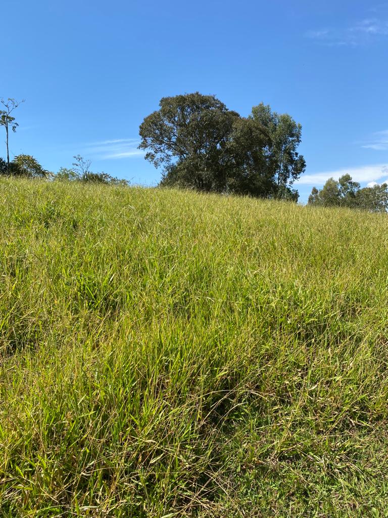 Terreno com vista panorâmica, bom para montar chácara | Extrema - MG | código 824