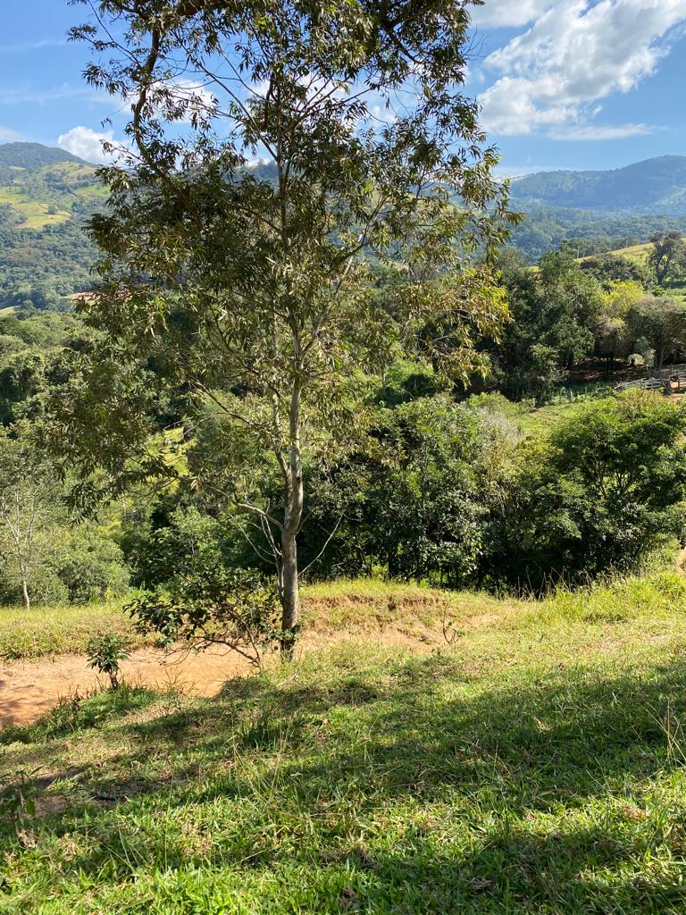 Terreno com vista panorâmica, bom para montar chácara | Extrema - MG | código 824