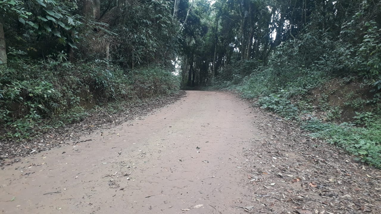 Sítio todo formado em eucalipto, vista panorâmica | Extrema - MG | código 837