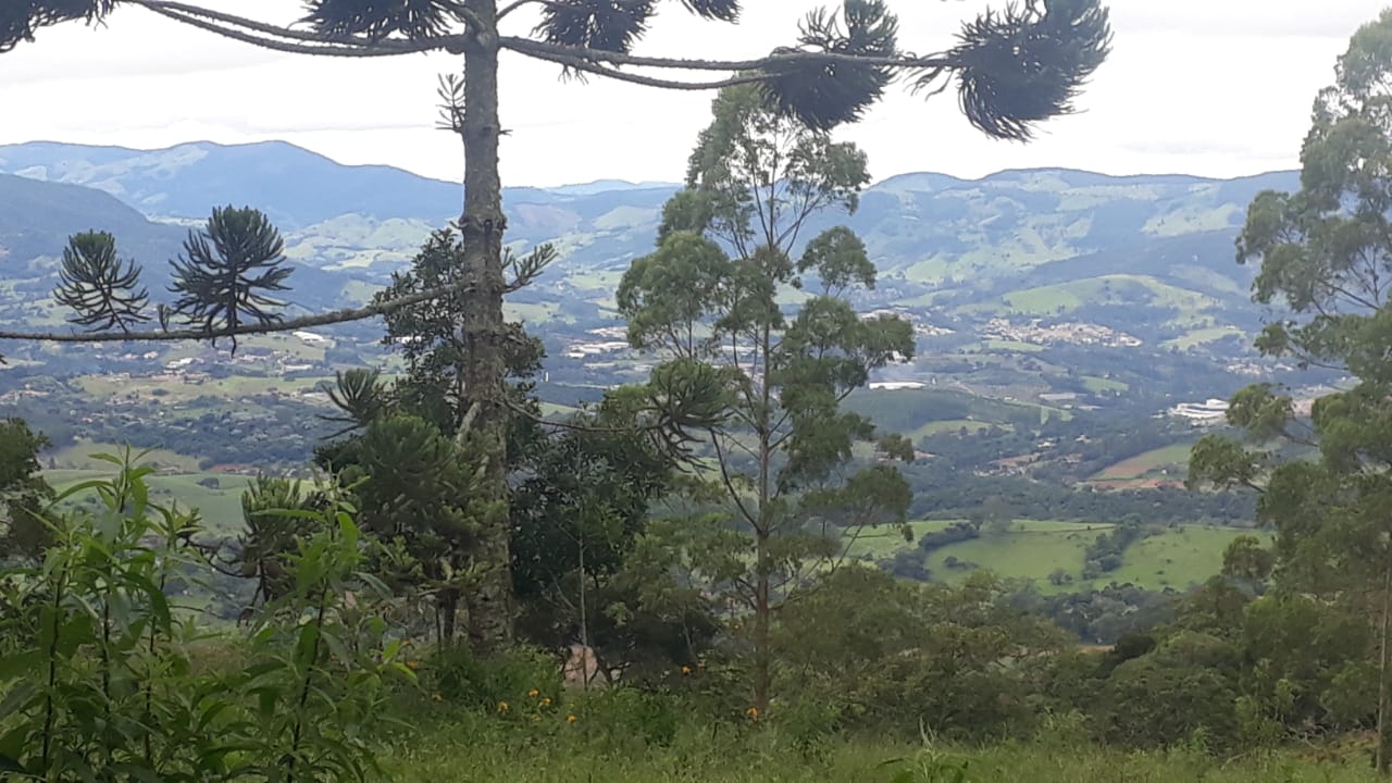 Sítio todo formado em eucalipto, vista panorâmica | Extrema - MG | código 837