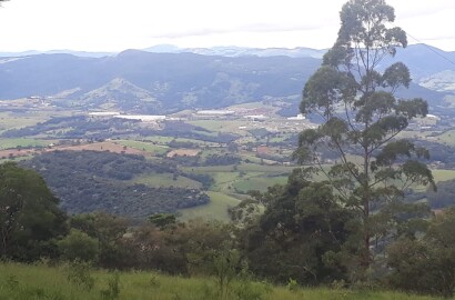 Sítio todo formado em eucalipto, vista panorâmica | Extrema - MG | código 837