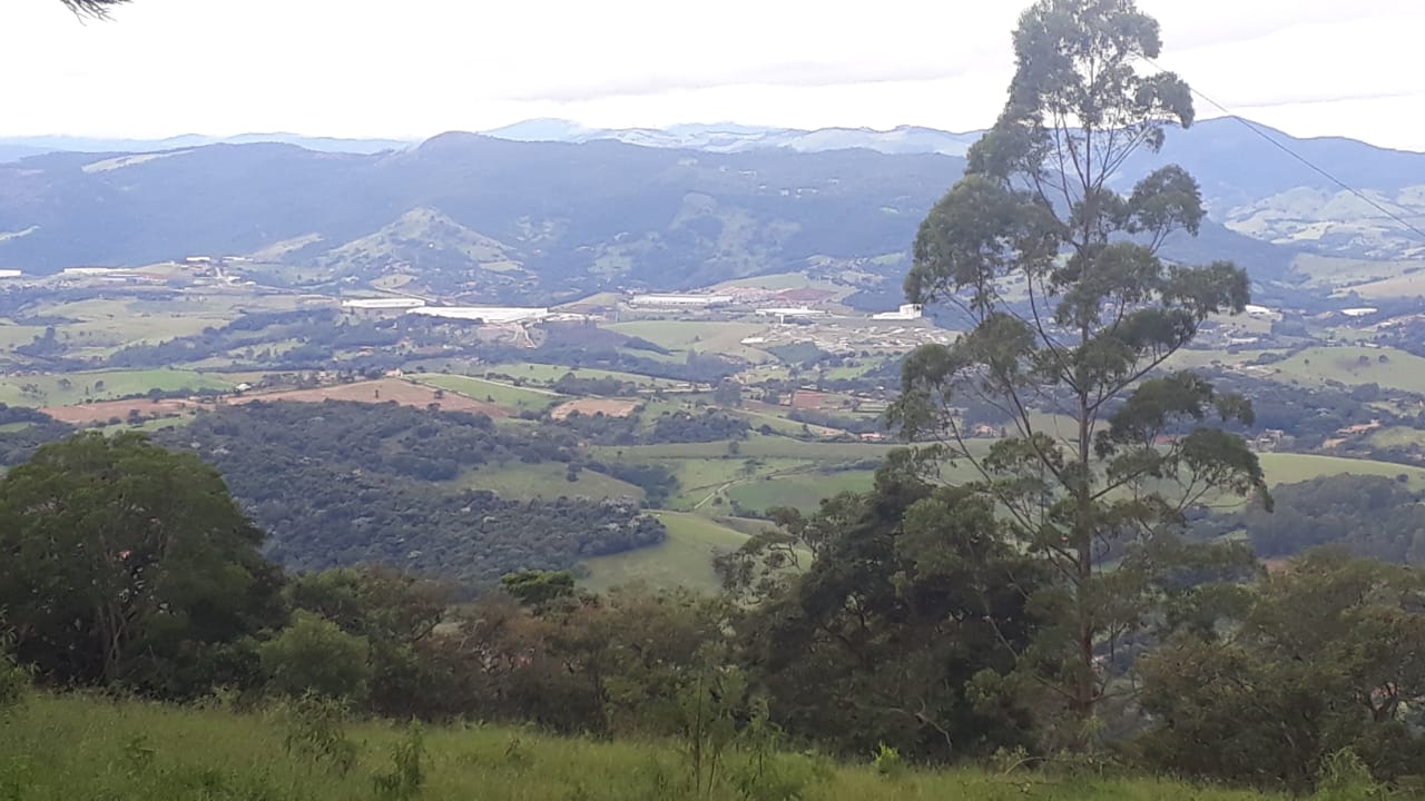 Sítio todo formado em eucalipto, vista panorâmica | Extrema - MG | código 837