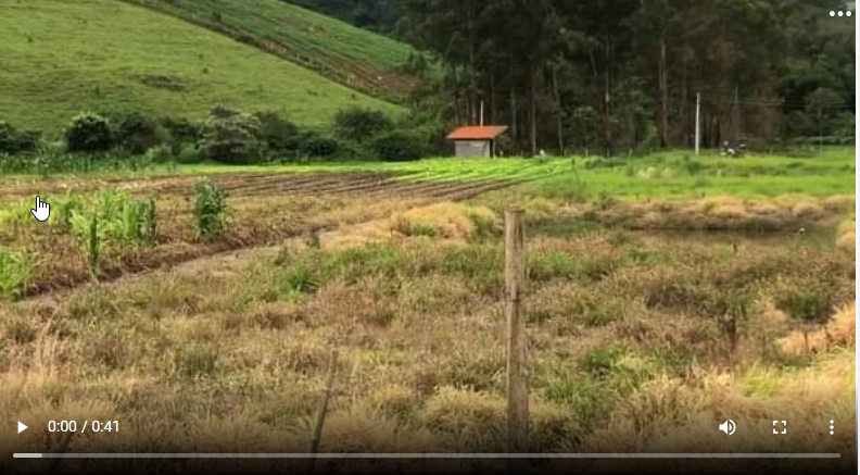 Terreno com lago de peixes, arvores nativas e frutíferas | Toledo - MG | código 838