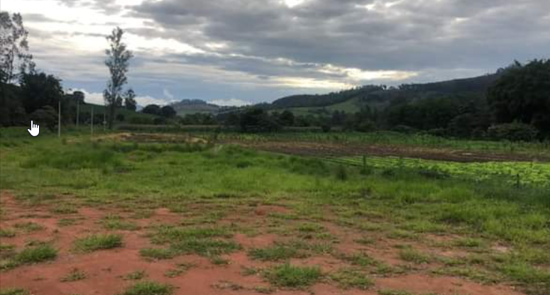 Terreno com lago de peixes, arvores nativas e frutíferas | Toledo - MG | código 838