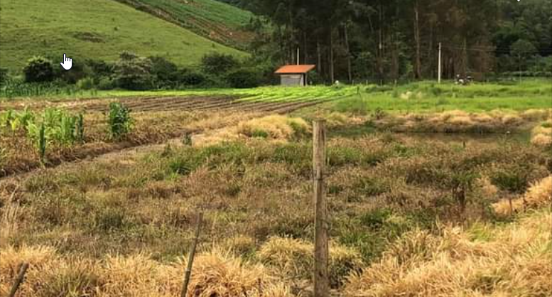 Terreno com lago de peixes, arvores nativas e frutíferas | Toledo - MG | código 838