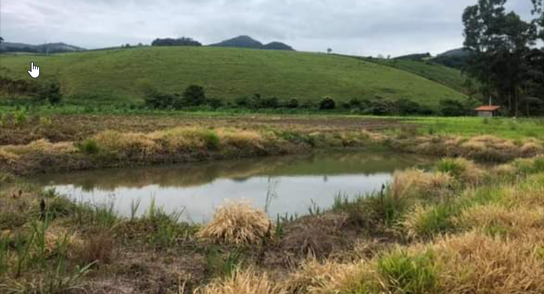 Terreno com lago de peixes, arvores nativas e frutíferas | Toledo - MG | código 838