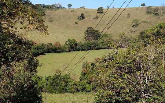 Chácara com piscina, pomar, horta,  casa com 2 dormitórios |  Munhoz - MG | código 839