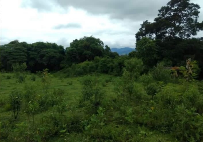 Terreno em  Extrema MG,  12 km do centro asfalto .| código 842