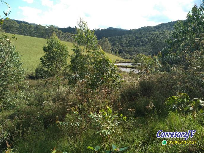 Fazenda de alto padrão com 8 lagos, piscina, campo de futebol | Joanópolis - SP | código 847