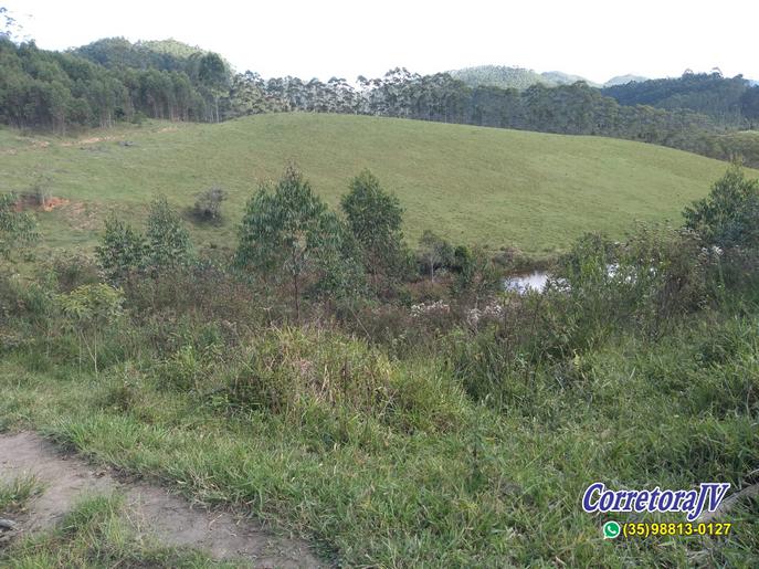 Fazenda de alto padrão com 8 lagos, piscina, campo de futebol | Joanópolis - SP | código 847