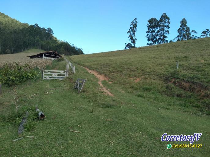 Fazenda de alto padrão com 8 lagos, piscina, campo de futebol | Joanópolis - SP | código 847