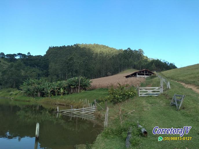 Fazenda de alto padrão com 8 lagos, piscina, campo de futebol | Joanópolis - SP | código 847