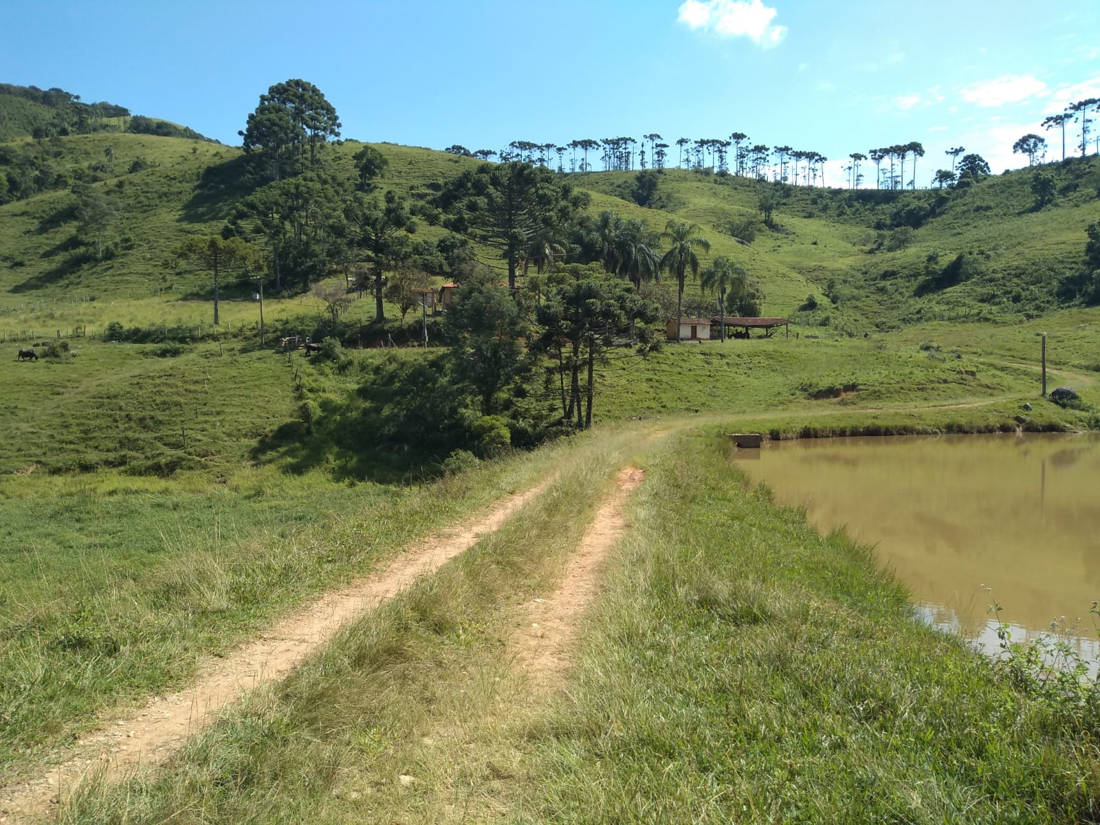 Fazenda com casa simples, lago de lazer, divisa com Extrema | Joanópolis - SP | código 848