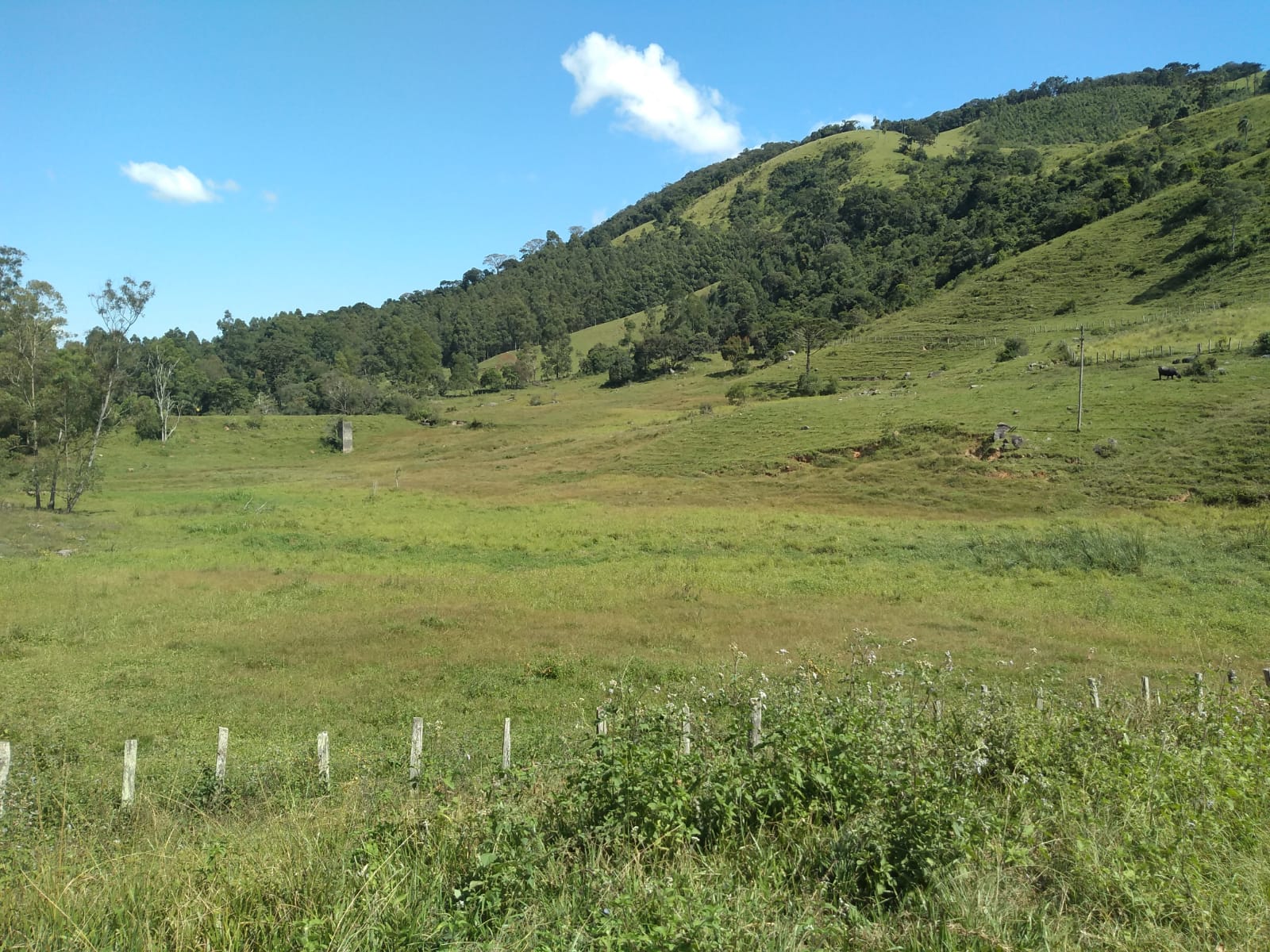 Fazenda com casa simples, lago de lazer, divisa com Extrema | Joanópolis - SP | código 848