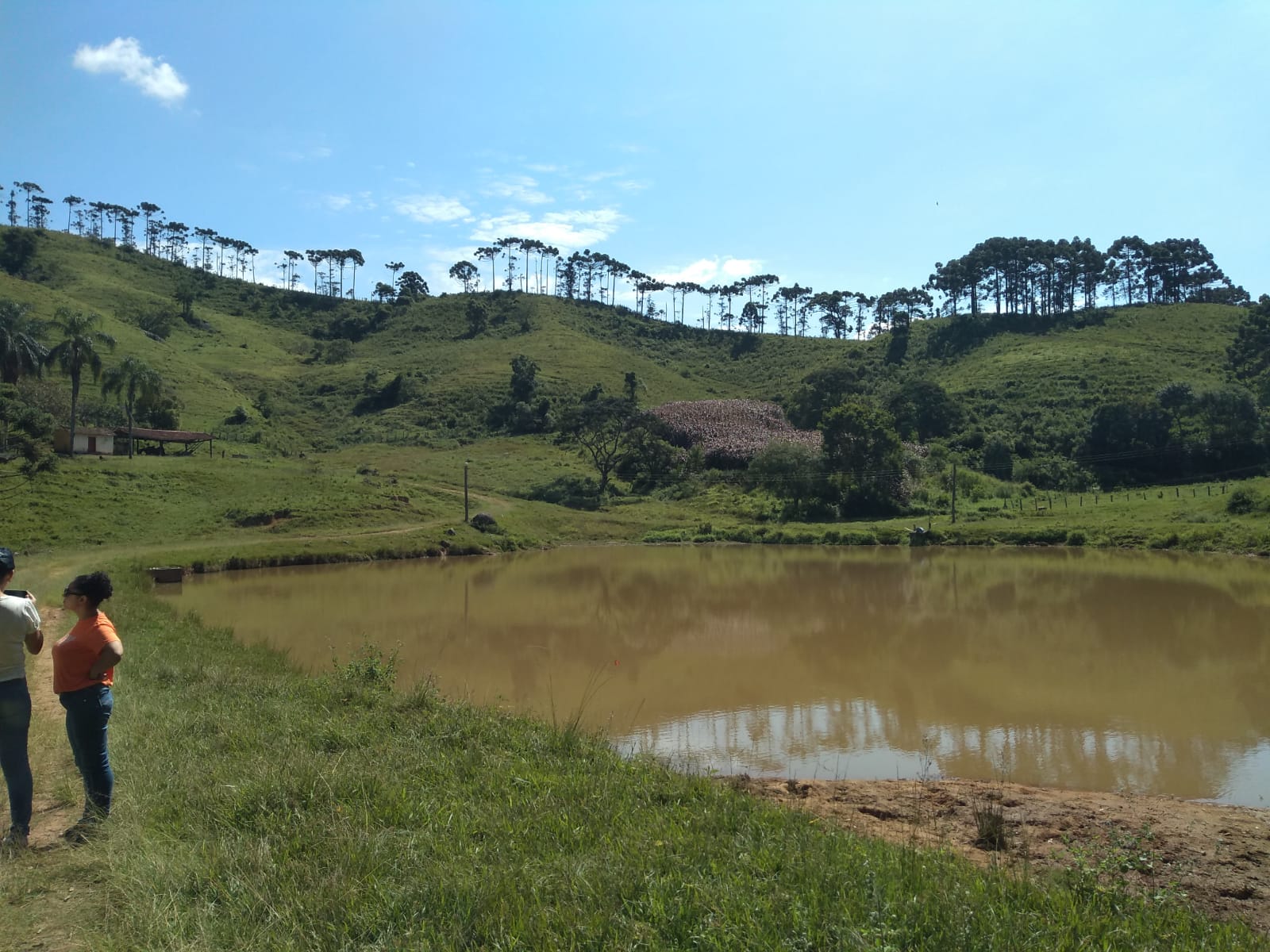 Fazenda com casa simples, lago de lazer, divisa com Extrema | Joanópolis - SP | código 848