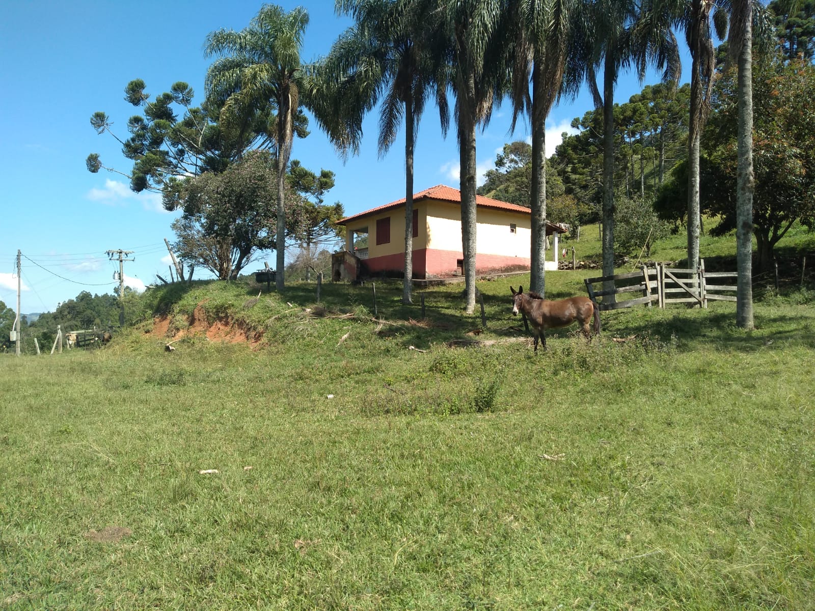 Fazenda com casa simples, lago de lazer, divisa com Extrema | Joanópolis - SP | código 848