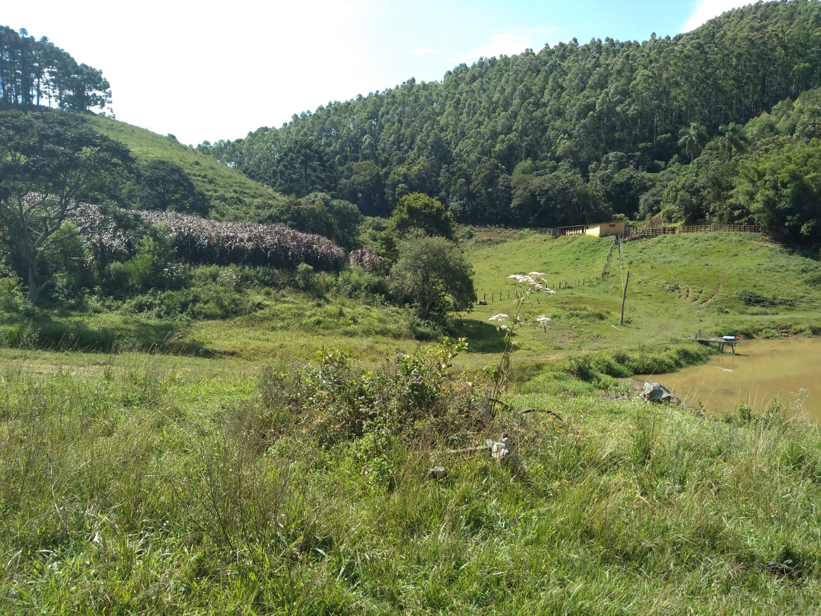 Fazenda com casa simples, lago de lazer, divisa com Extrema | Joanópolis - SP | código 848