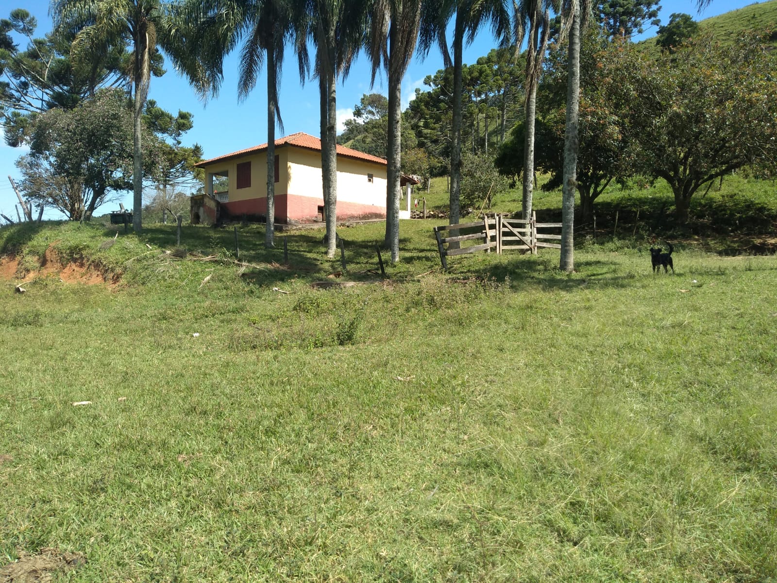 Fazenda com casa simples, lago de lazer, divisa com Extrema | Joanópolis - SP | código 848